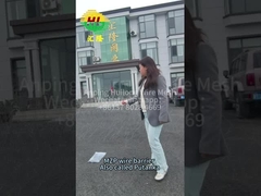 MZP Mức lương tối thiểu Rào cản tầm nhìn thấp