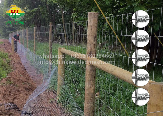 50m Hinge Joint Wire Mesh , Hot Dipped Galvanized Wire Mesh Rolls