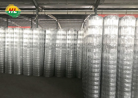 50m Hinge Joint Wire Mesh , Hot Dipped Galvanized Wire Mesh Rolls