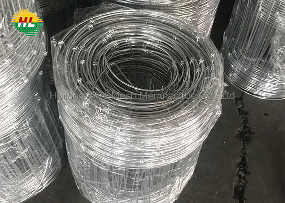 High Galvanized Hinge Joint Wire Mesh Light Weight Q195 Carbon Steel